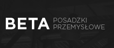 Strona www Posadzki betonowe BETA SYSTEM Strona www Posadzki betonowe BETA SYSTEM
